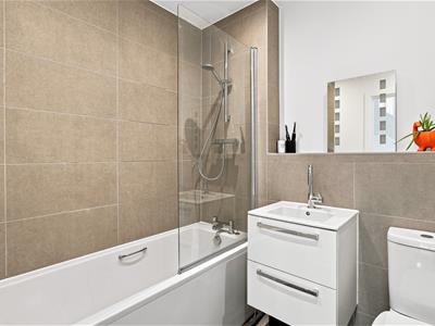 Picture 8